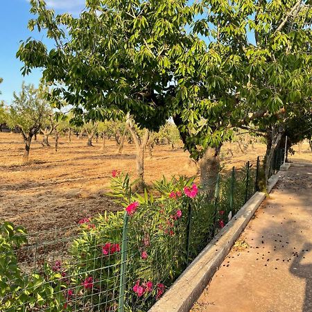 Trulli Ulivi Villa Путиняно Екстериор снимка