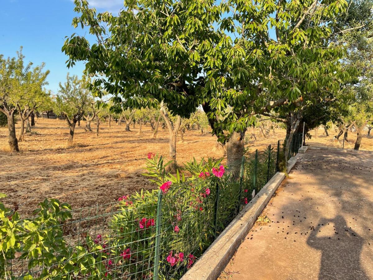 Trulli Ulivi Villa Путиняно Екстериор снимка