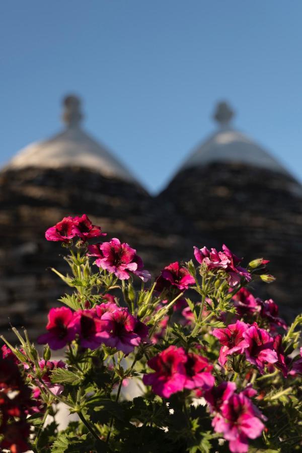Trulli Ulivi Villa Путиняно Екстериор снимка