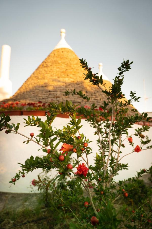 Trulli Ulivi Villa Путиняно Екстериор снимка